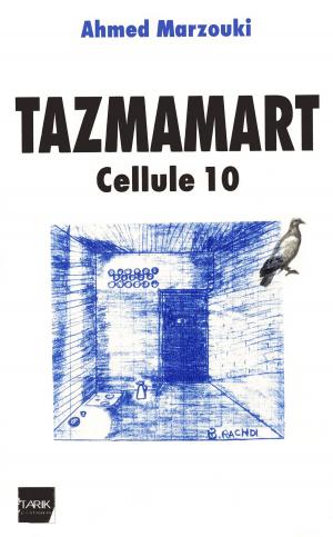 Cover of the book Tazmamart by Brian H Groover