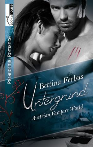 Cover of the book Untergrund - Austrian Vampire World by Florian Gerlach
