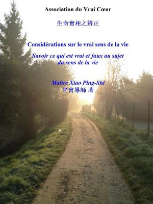 Cover of the book CONSIDÉRATIONS SUR LE VRAI SENS DE LA VIE by Carole Bergh