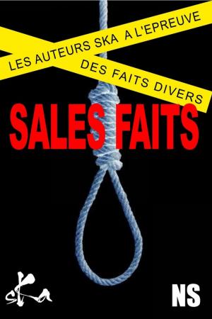 Cover of the book Sales faits by Christian Bauer