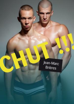 Cover of the book Chut !!! by Sébastien Avril
