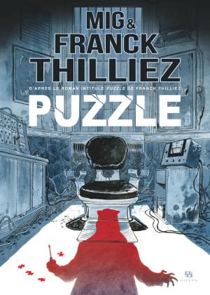 Book cover of Puzzle