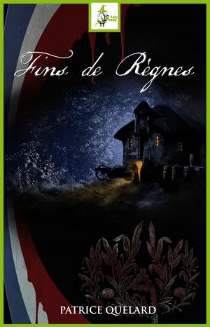 Cover of the book Fins de règnes by Céline Thomas