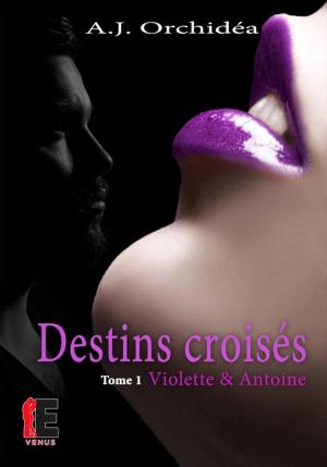 Cover of the book Violette & Antoine by Erine Kova