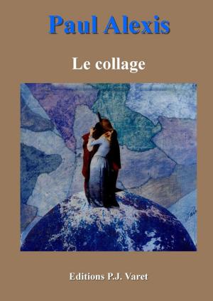 Book cover of Le collage