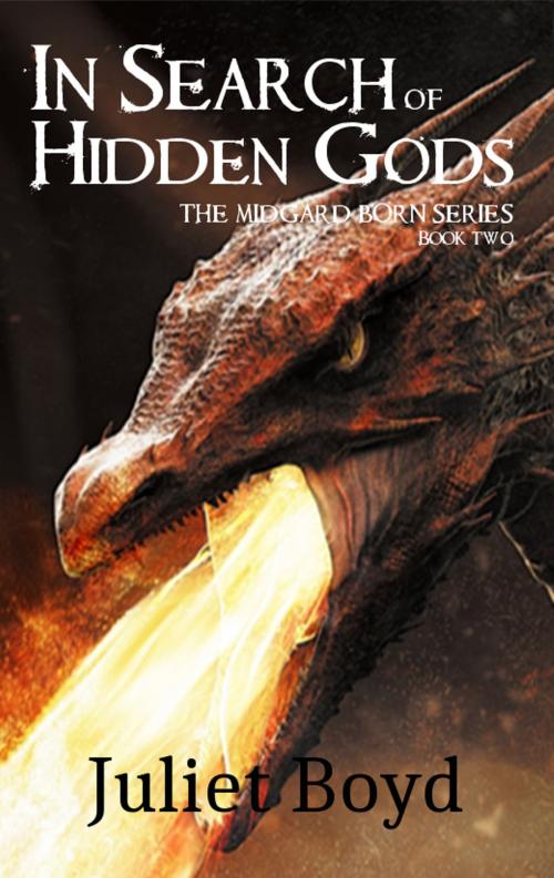 Cover of the book In Search of Hidden Gods by Juliet Boyd, Juliet Boyd