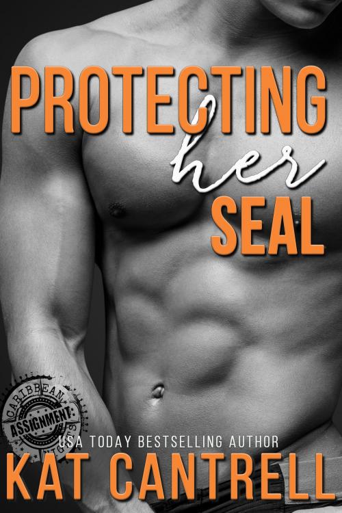 Cover of the book Protecting Her SEAL by Kat Cantrell, Alpe D'Huez Press