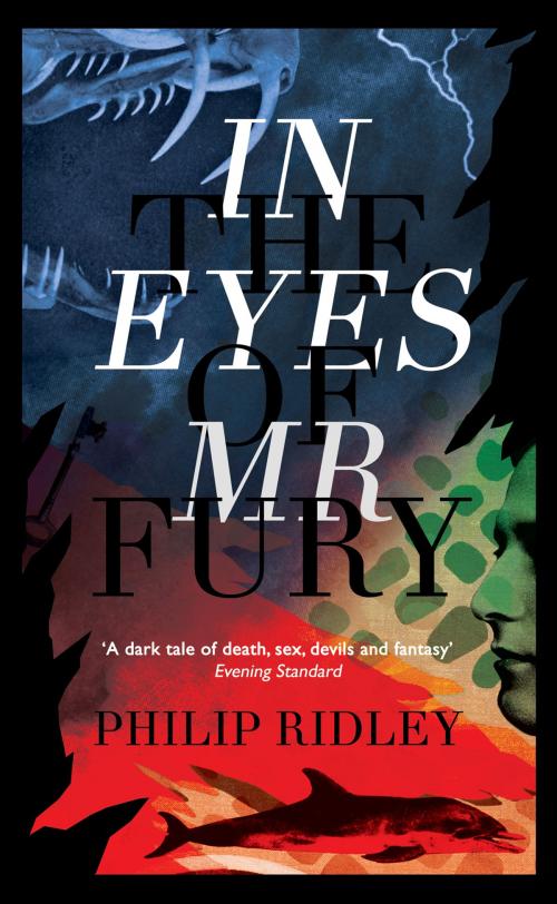 Cover of the book In the Eyes of Mr Fury by Philip Ridley, Valancourt Books
