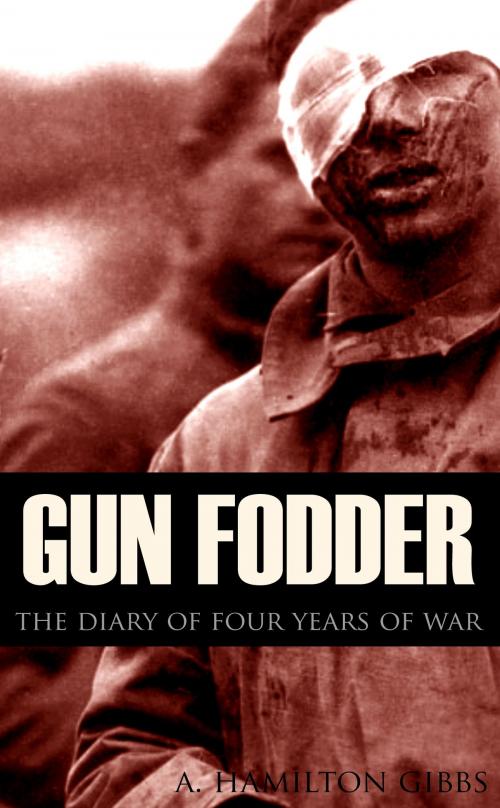 Cover of the book Gun Fodder: The diary of four years of war (New Intro, Annotated) by A. Hamilton Gibbs, BIG BYTE BOOKS