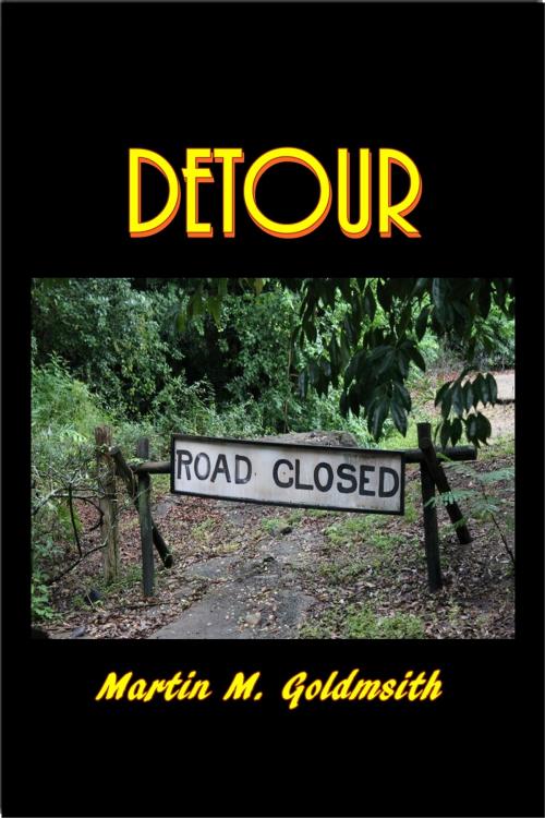 Cover of the book Detour by Martin M. Goldsmith, Green Bird Press