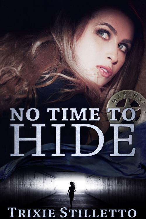 Cover of the book No Time to Hide by Trixie Stiletto, KTB Books