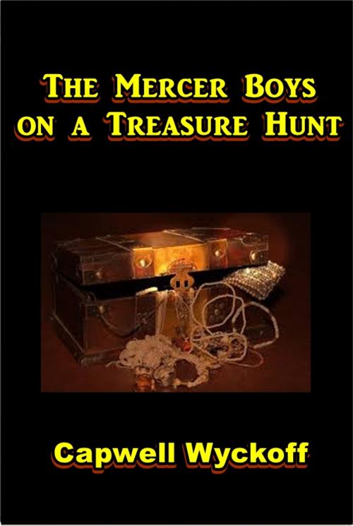 Cover of the book The Mercer Boys on a Treasure Hunt by Capwell Wyckoff, Green Bird Press