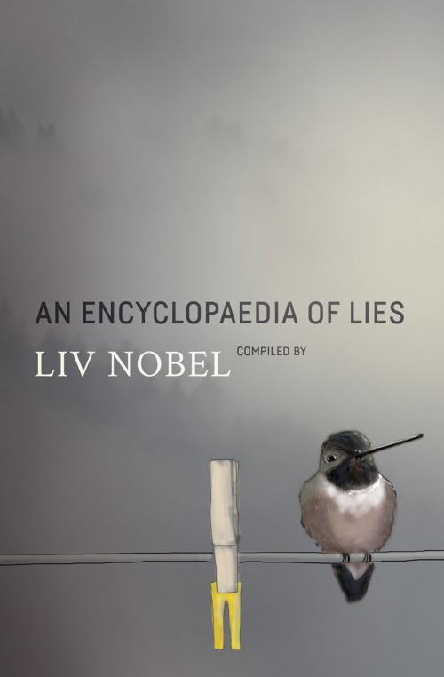 Cover of the book An Encyclopaedia of Lies by Liz Nobel, Bright Wing Books