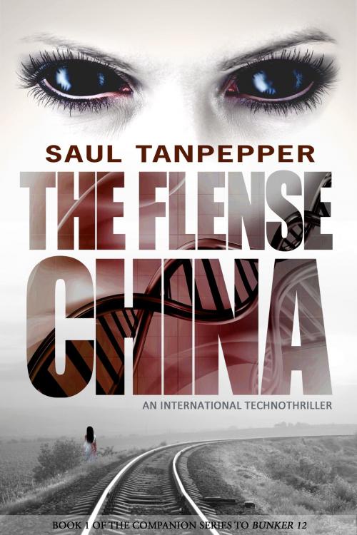 Cover of the book China by Saul Tanpepper, Brinestone Press