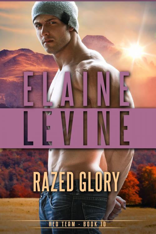 Cover of the book Razed Glory by Elaine Levine, Elaine Levine