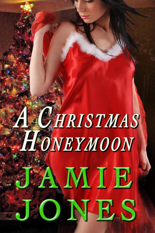 Cover of the book A Christmas Honeymoon by Jamie Jones, Jamie Jones