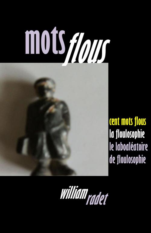 Cover of the book Mots flous by William RADET, William RADET