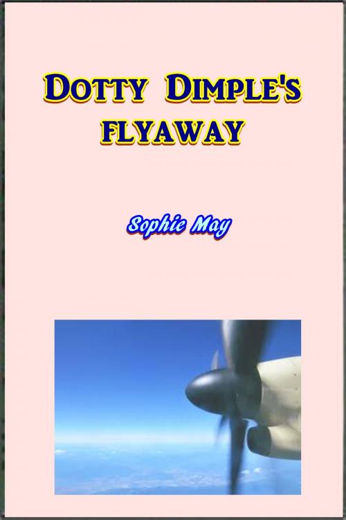 Cover of the book Dotty Dimple's Flyaway by Sophie May, Green Bird Press