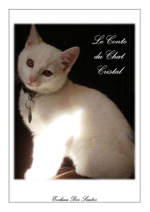 Cover of the book LE CONTE DU CHAT CRISTAL by Evelina DOS SANTOS, Evelina DOS SANTOS