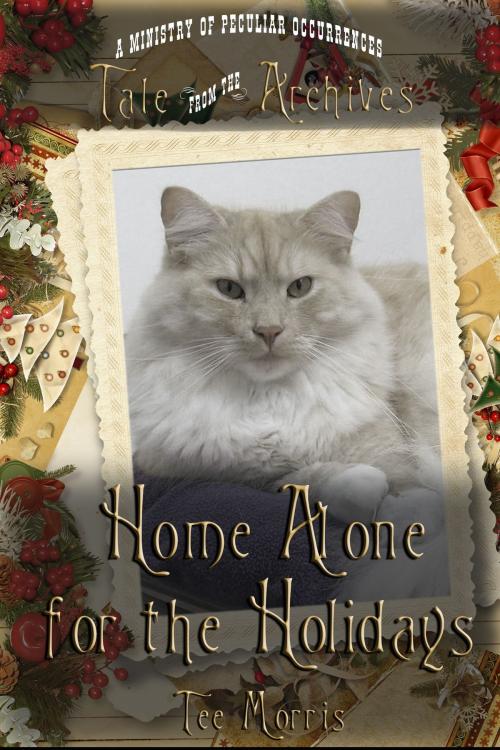 Cover of the book Home Alone for the Holidays by Tee Morris, Imagine That! Studios