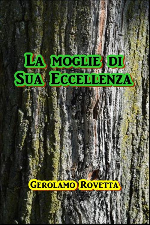 Cover of the book La moglie di Sua Eccellenza by Gerolamo Rovetta, Green Bird Press