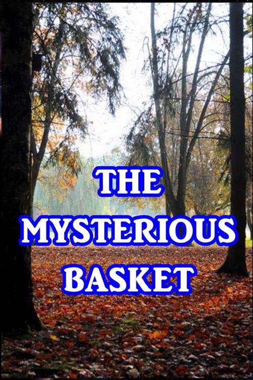 Cover of the book The Mysterious Basket by Anonymous, Green Bird Press