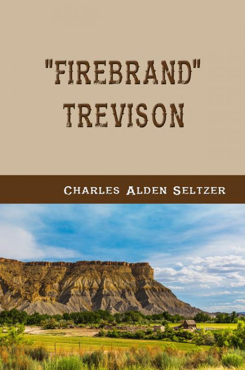 Cover of the book "Firebrand" Trevison (Illustrated) by Charles Alden Seltzer, P. V. E. Ivory, Illustrator, Reading Bear Publications