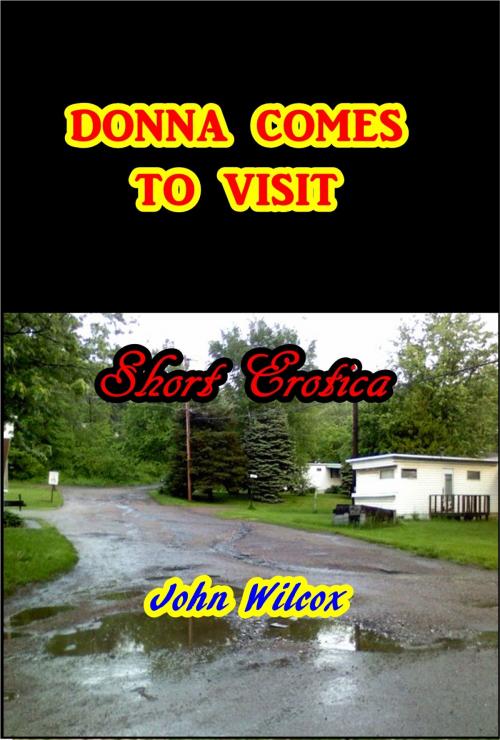 Cover of the book Donna Comes to Visit by John Wilcox, Green Bird Press