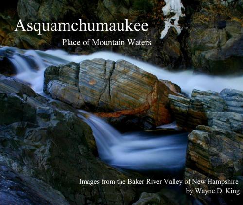 Cover of the book Asquamchumaukee Place of Mountain Waters by Wayne King, Moosewood Publishing