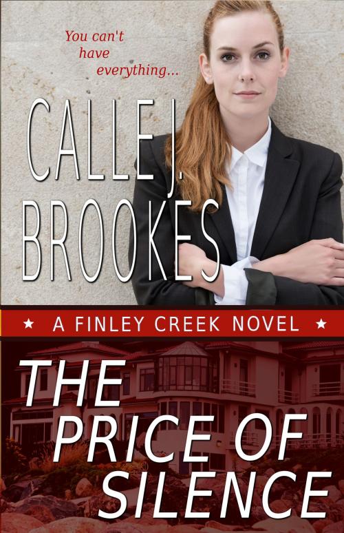 Cover of the book The Price of Silence by Calle J. Brookes, Lost River Lit Publishing, L.L.C.