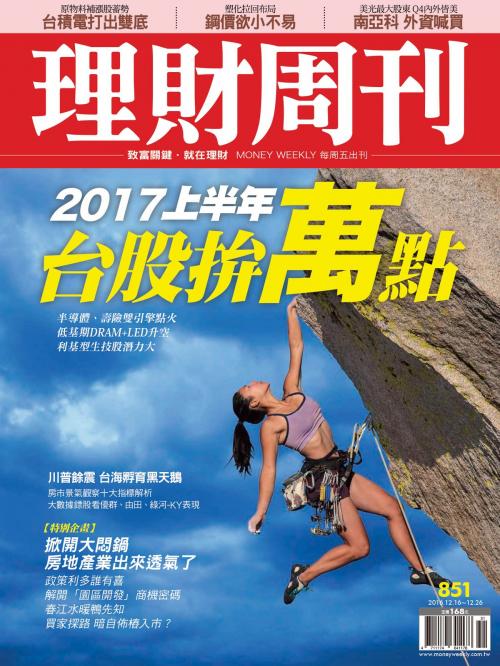 Cover of the book 理財周刊第851期：2017上半年 台股拚萬點 by , 理財周刊