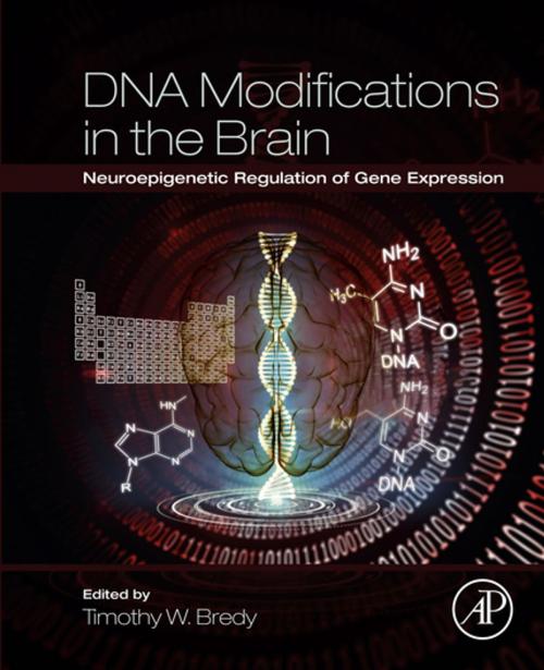 Cover of the book DNA Modifications in the Brain by , Elsevier Science