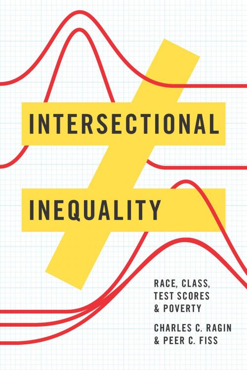 Cover of the book Intersectional Inequality by Charles C. Ragin, Peer C. Fiss, University of Chicago Press