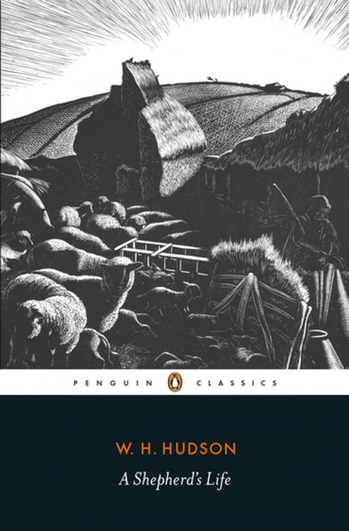 Cover of the book A Shepherd's Life by W. H. Hudson, Penguin Books Ltd