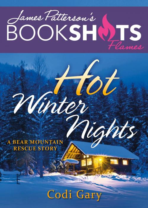 Cover of the book Hot Winter Nights by Codi Gary, Little, Brown and Company