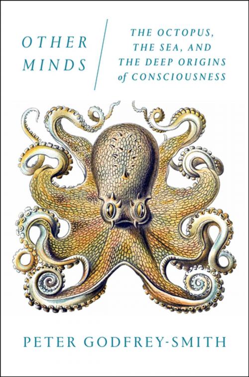 Cover of the book Other Minds by Peter Godfrey-Smith, Farrar, Straus and Giroux