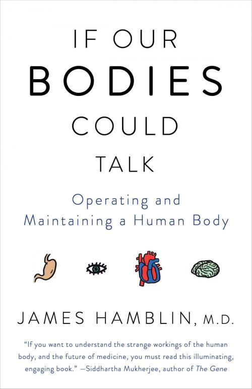 Cover of the book If Our Bodies Could Talk by James Hamblin, Knopf Doubleday Publishing Group