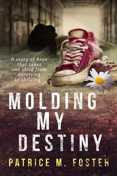 Cover of the book Molding My Destiny by Patrice M Foster, Patrice M Foster