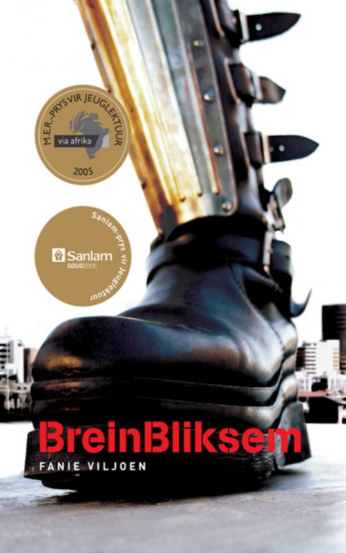 Cover of the book BreinBliksem by Fanie Viljoen, Tafelberg