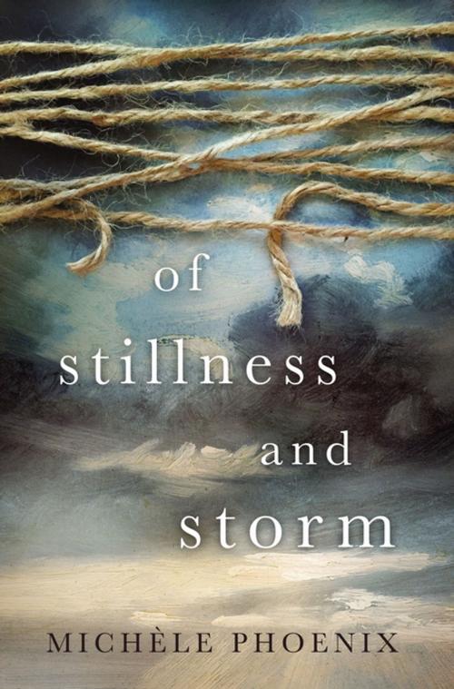 Cover of the book Of Stillness and Storm by Michele Phoenix, Thomas Nelson