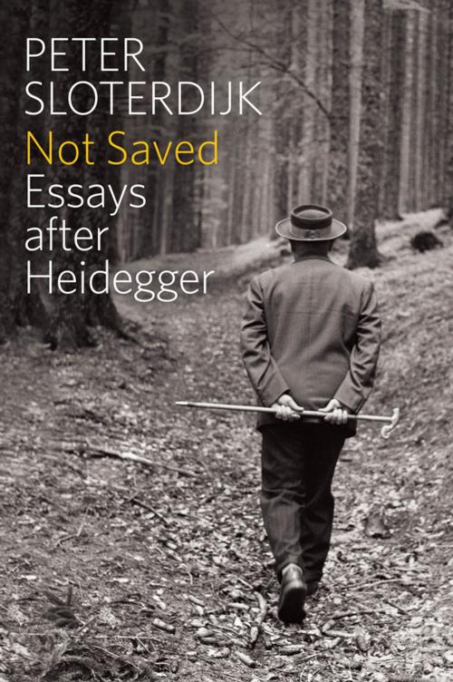 Cover of the book Not Saved by Peter Sloterdijk, Wiley