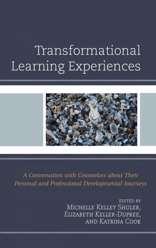 Cover of the book Transformational Learning Experiences by , Hamilton Books