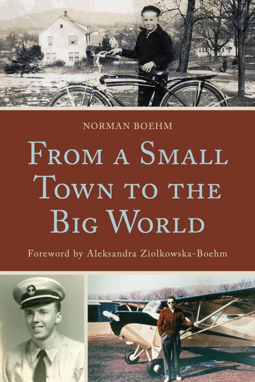 Cover of the book From a Small Town to the Big World by Norman Boehm, Hamilton Books