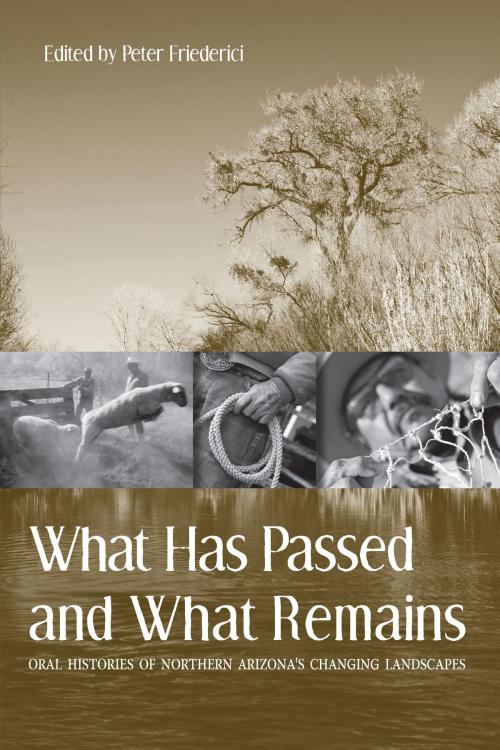 Cover of the book What Has Passed and What Remains by , University of Arizona Press