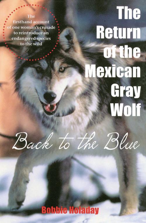 Cover of the book The Return of the Mexican Gray Wolf by Bobbie Holaday, University of Arizona Press