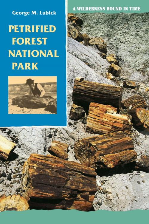 Cover of the book Petrified Forest National Park by George M. Lubick, University of Arizona Press