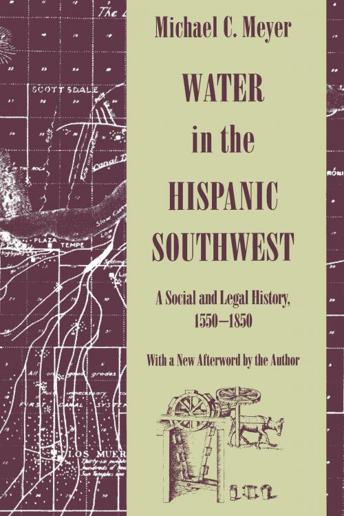 Cover of the book Water in the Hispanic Southwest by Michael C. Meyer, University of Arizona Press