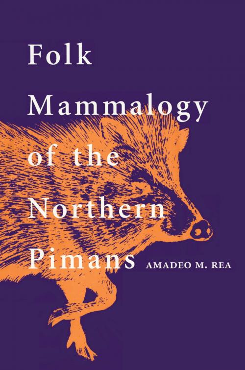 Cover of the book Folk Mammalogy of the Northern Pimans by Amadeo M. Rea, University of Arizona Press