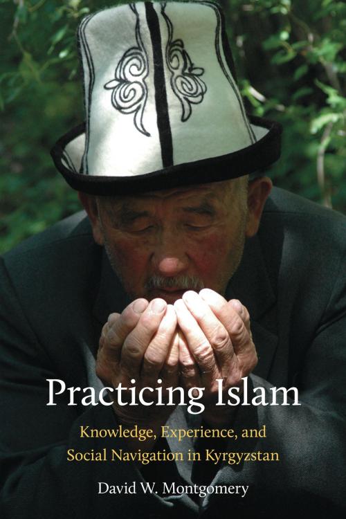 Cover of the book Practicing Islam by David W. Montgomery, University of Pittsburgh Press
