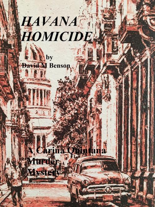 Cover of the book Havana Homicide by David Benson, David Benson
